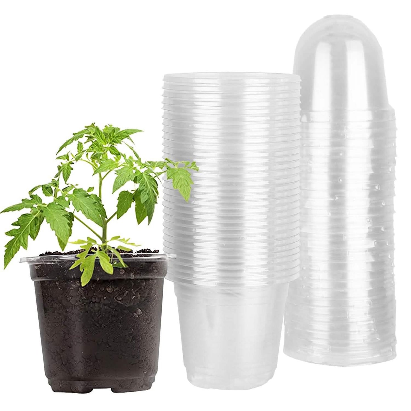 30-Pieces: Plant Nursery Pots PET Flower Seed Starting Pots Container with Dome Drainage Holes