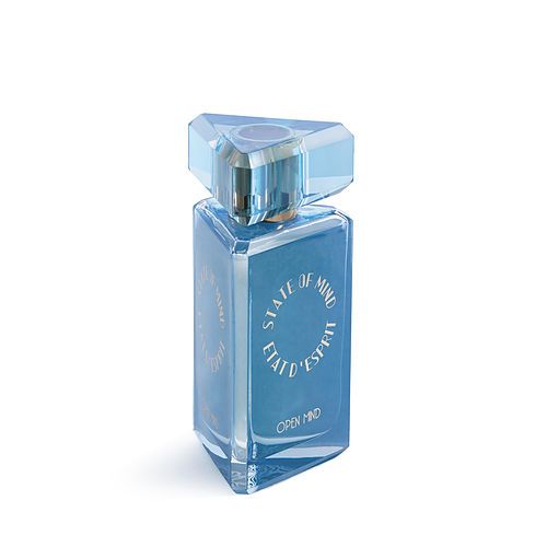 STATE OF MIND OPEN MIND by State Of Mind EAU DE PARFUM SPRAY 3.4 OZ