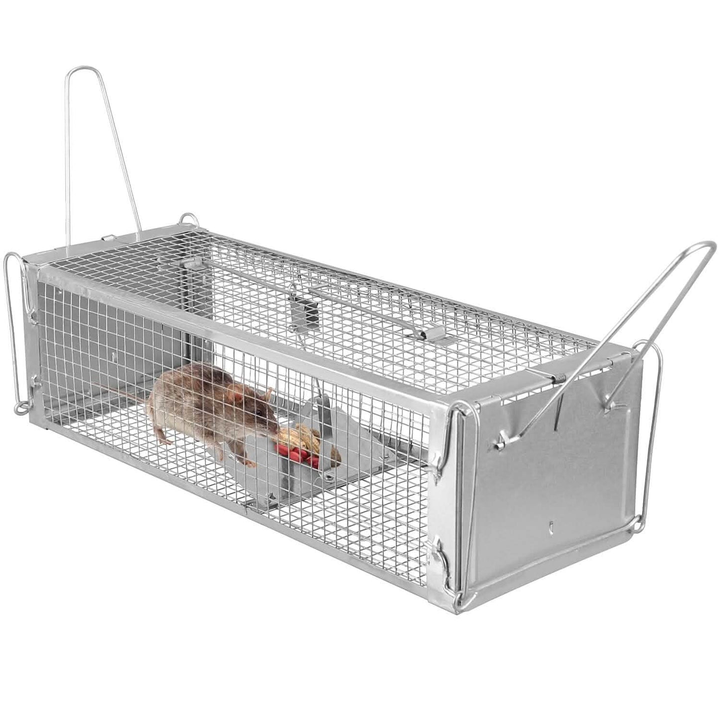 Dual Door Rat Trap Cage Humane with 2 Detachable U Shape Rod