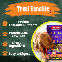 Halloween 31 Snack Pack Dog Treat Box