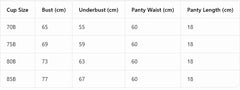 Hollow Lace Floral Sexy lingerie set Bow Padded Push Up women's bra Suitable for Small Busts sexy bras and panties