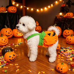 Halloween Pumpkin Pet Costume Dress, Funny Pumpkin Transform Outfit, Adjustable Harness Dress For Small Dogs Cats, Cute Halloween Party Cosplay Clothes For Teddy Bichon Puppy Kitten